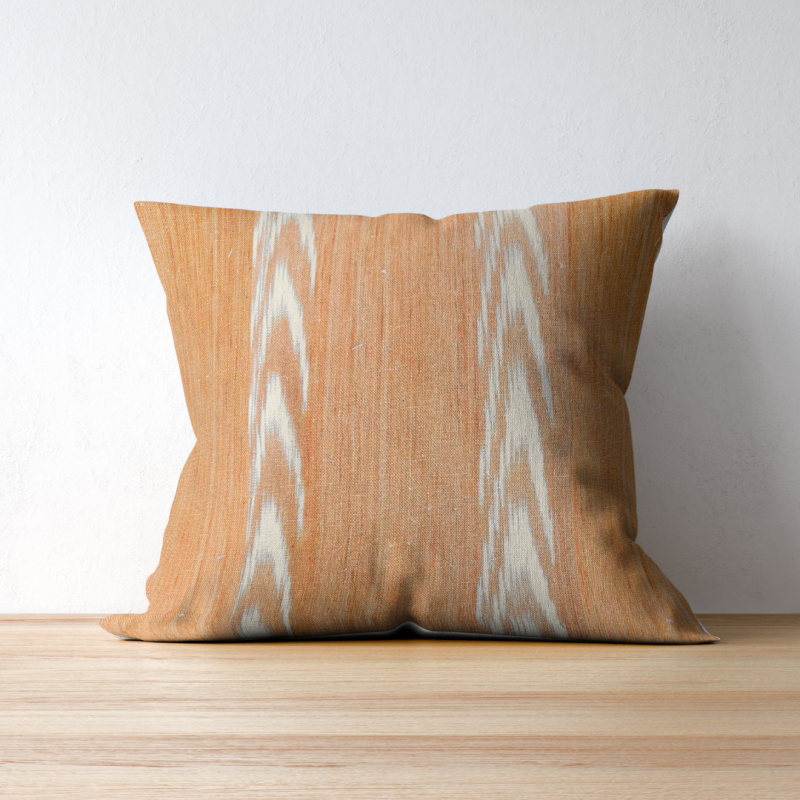 Alcadena Orange on a throw pillow